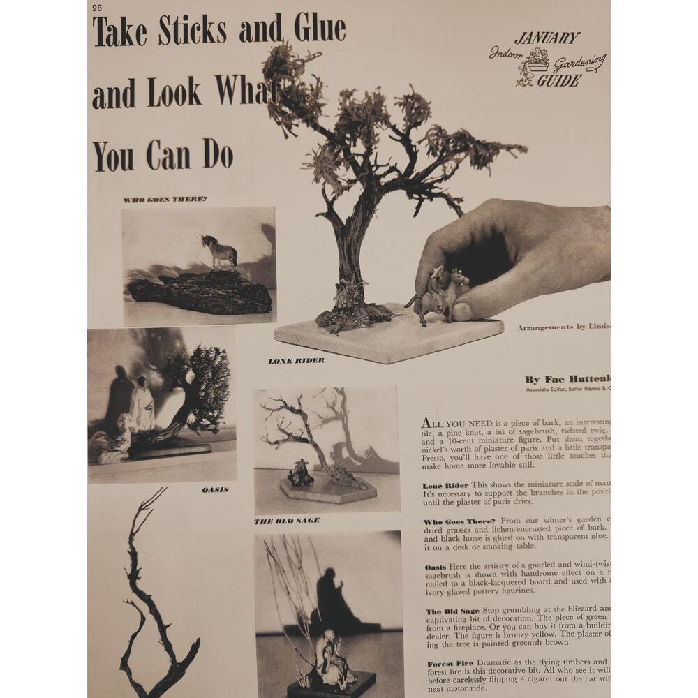 1941 Crafting Print Article by Fae Huttenlocher Indoor Gardening Tree Branch Art